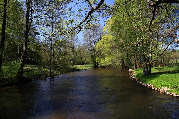 The River Słupia