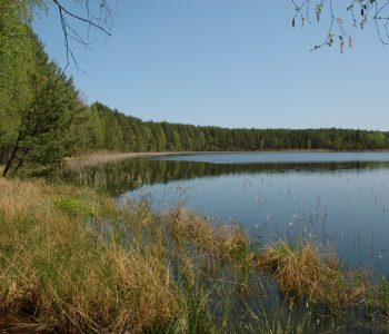 The Lake Małe Łowne Reserve