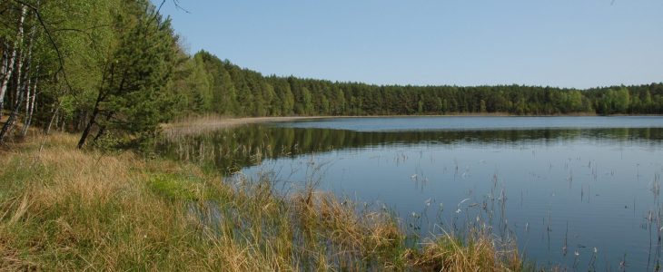 Jezioro Małe Łowne