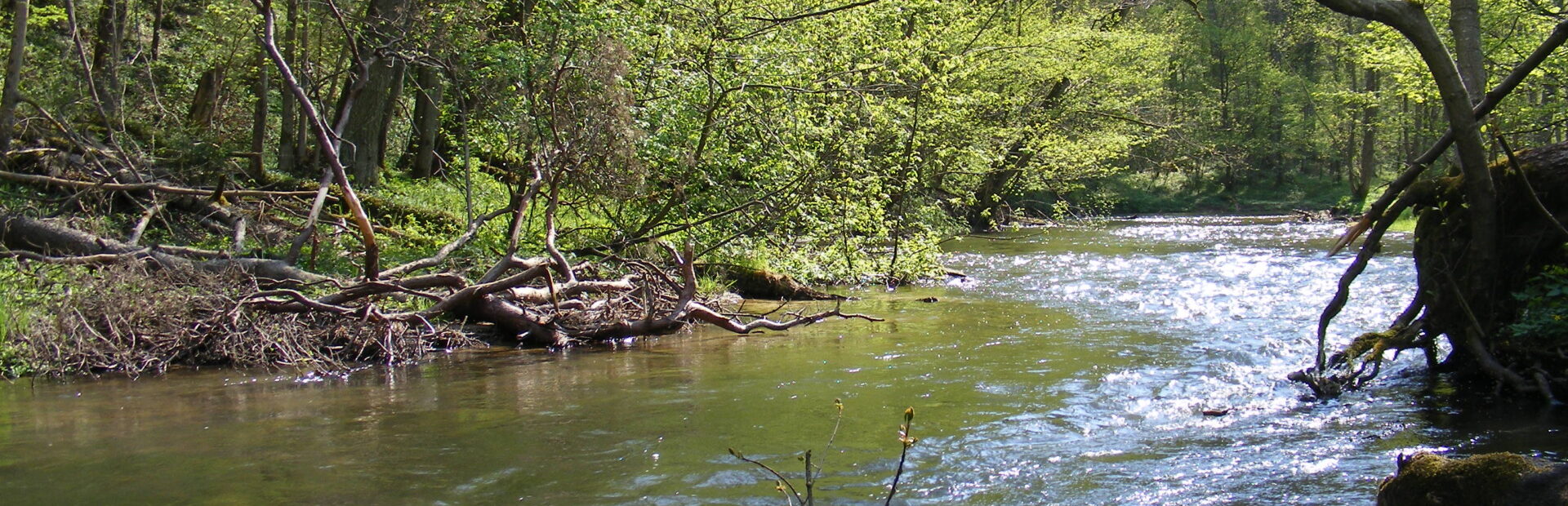 The Radunia river water trail