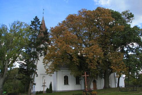 Kościół pw. Najświętszej Marii Panny Gwiazdy Morza w Osiekach Lęborskich