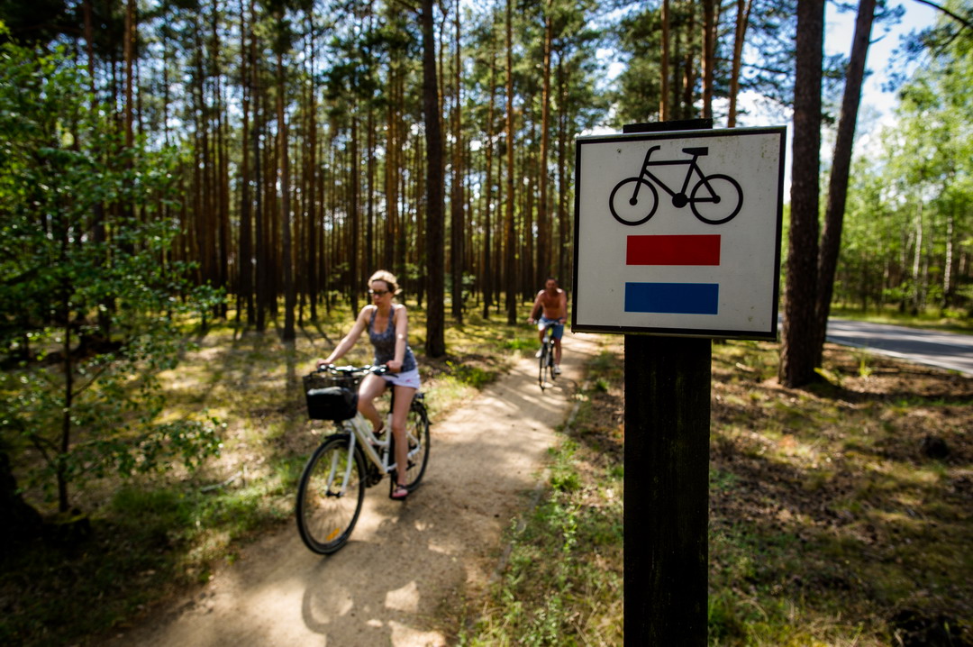 Ścieżka rowerowa w Borach Tucholskich, fot. Mateusz Ochocki/Pomorskie.Travel