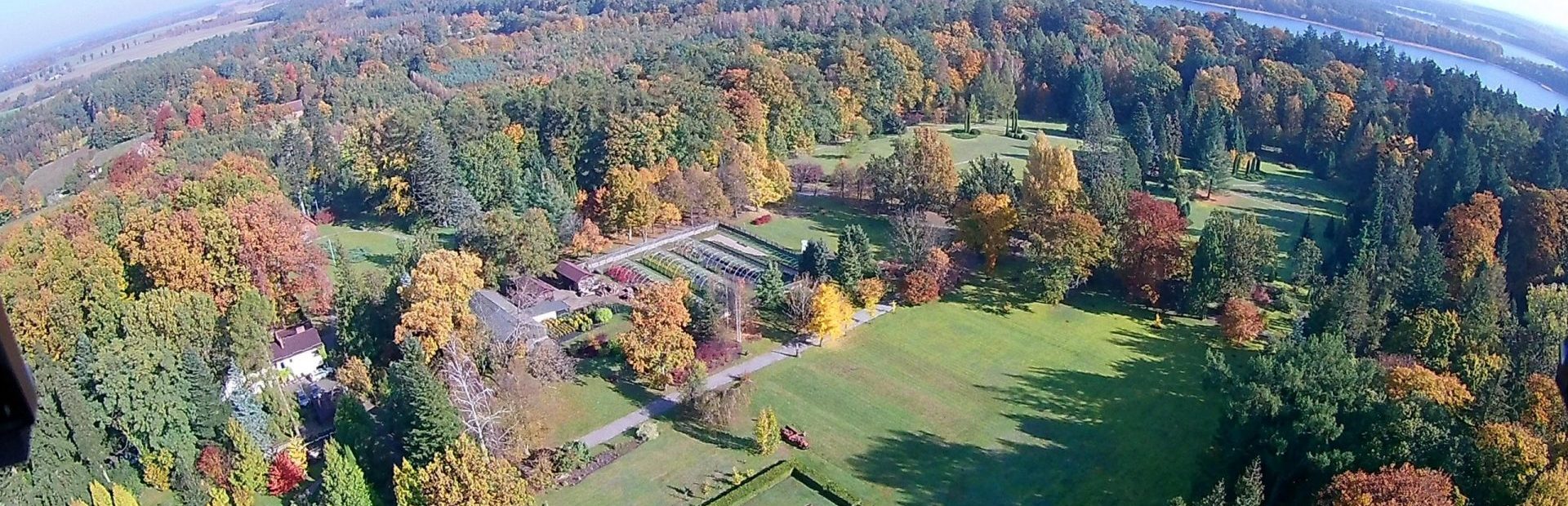 The Wirty Arboretum