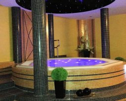 best western plus business faltom hotel gdynia jacuzzi whirlpool