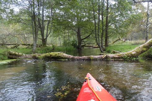 The Brda Trail – repose in the nature maze