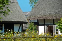 chaty w muzeum wsi slowinskiej w klukach
