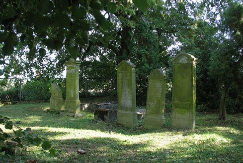 The Mennonite cemetery in Szaleniec