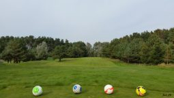 footgolf3