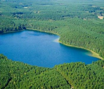 The Lake Nawionek Reserve