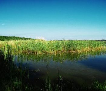 Sarbsko Lake