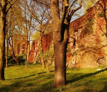 Pozostałości średniowiecznych murów obronnych miasta Malborka
