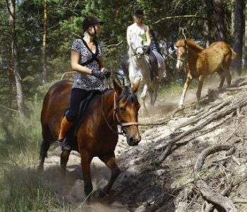 The Daniel Chodowiecki walking and horse-riding trail