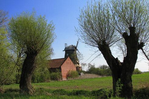 The Dutch windmill in Palczewo